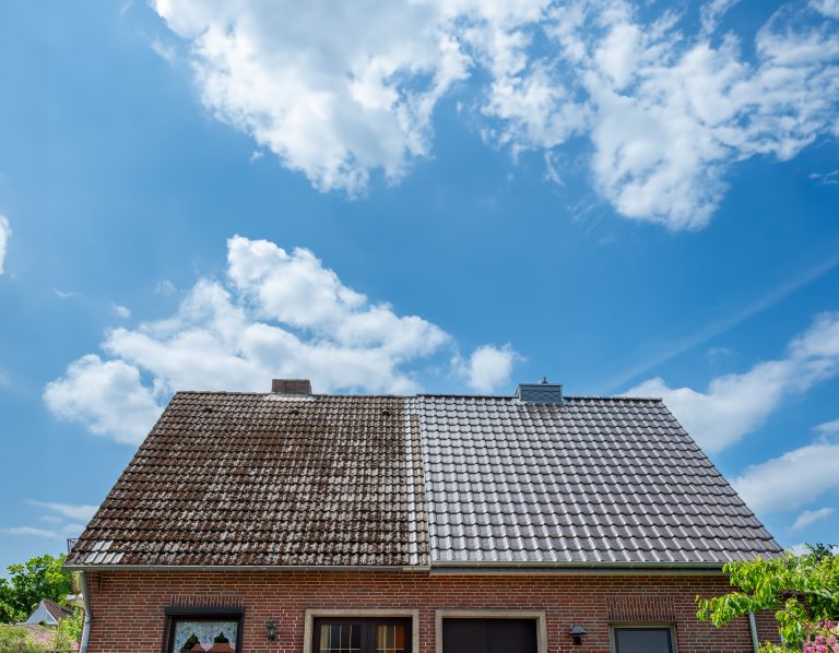Dachreinigung